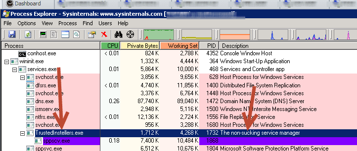 SPPSCV.exe malware screenshot in Process Explorer
